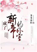 成了新帝外室番外
