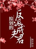 捡到的反派成夫君怎么样