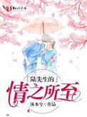 陆先生的情之所至免费全文陆宴北