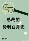 亿万总裁太强势