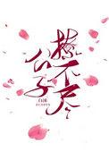 公子轻撩txt