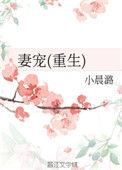 妻宠免费阅读全文