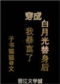 第一本穿成白月光替身后我暴富了作者子书猫猫