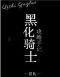 黑化骑士攻略手记TXT