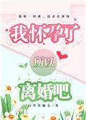 怀孕了也要离婚txt