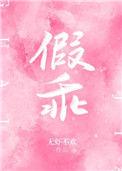 假乖乖女部队寻哥