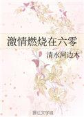 激情燃烧在六零txt