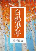 白杨少年无弹窗