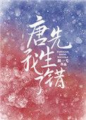 唐先生我错了免费阅读