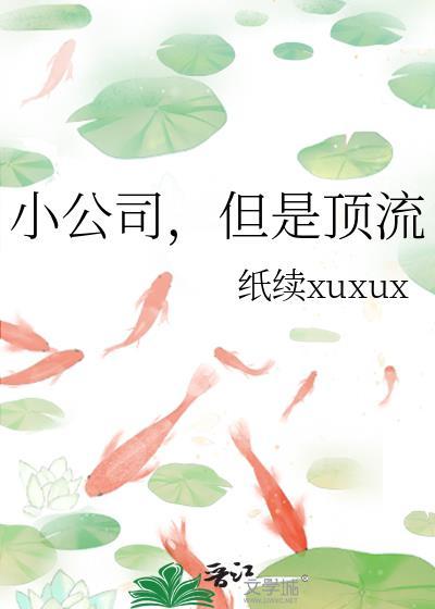 小公司知乎