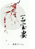 一品宝妻 百度