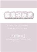 偏偏招惹全文免费阅读番外