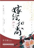 嫁给一个和尚电视剧