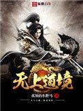 无上至境