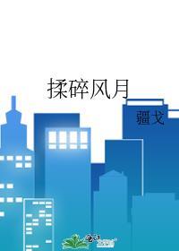 揉碎风月谢译桥梁晚莺免费笔趣阁