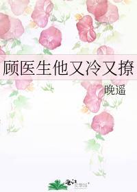 顾医生超宠妻