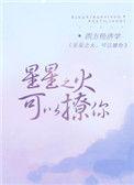 星星之火可以撩你无删减版