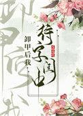 卸甲后我待字闺中 pan