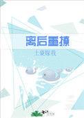离后重撩免费阅读