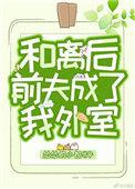 和离后我和前夫成了我外室