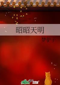 昭昭天明百度txt