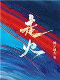 走火电视剧在线观看