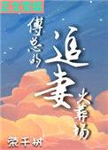 傅总傅总的追妻火葬场