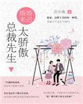 婚婚来迟冷少你宝贝掉了txt