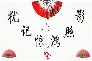 犹记惊鸿照影介绍
