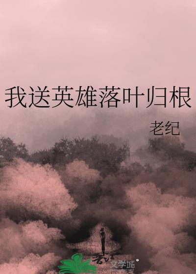 我送英雄落叶归根免费阅读