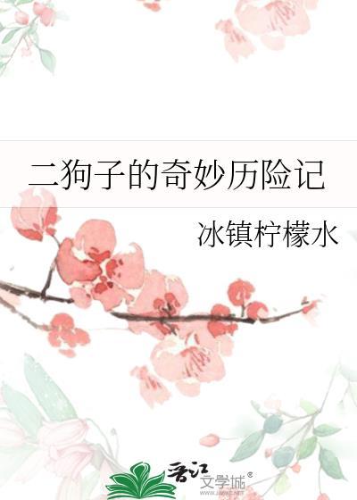 二狗子历险记礼包码