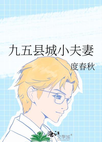 九五县城小夫妻 度春秋