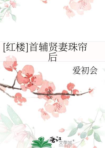 首辅言情