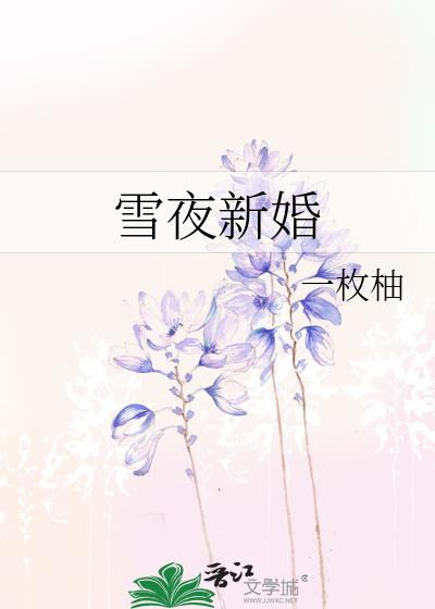 雪夜新婚by一枚柚子免费阅读