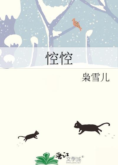 悾悾怎么读