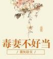 毒妻不好当雾矢翊无错版