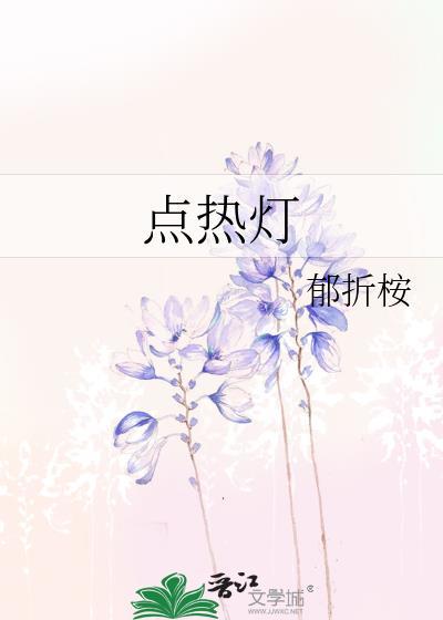 点热灯全文免费阅读