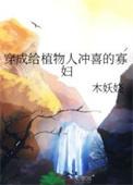 穿成植物人冲喜的寡妇结局
