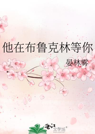我在布鲁克林卖大在线观看