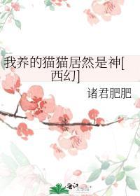 我养的猫它会风水