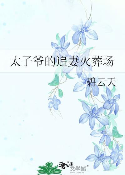 太子爷的追妻火葬场TXT全本免费