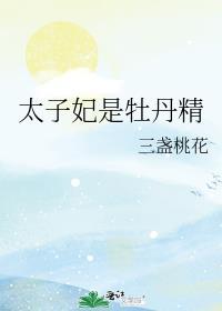 太子妃男主是谁