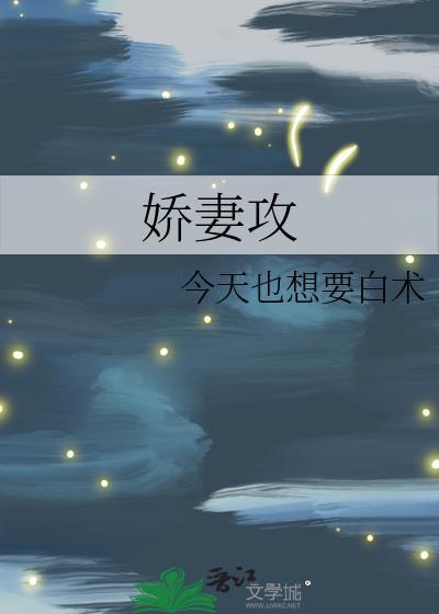 娇妻攻推荐