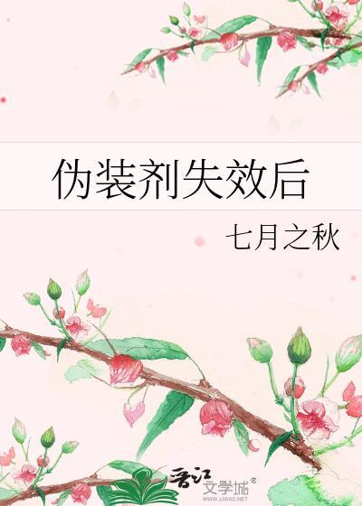 伪装效果评估
