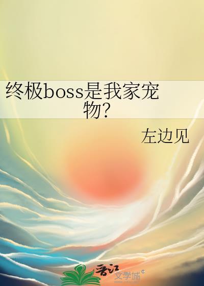 电视剧终极boss的意思