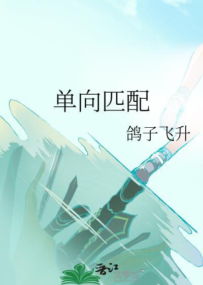单向匹配鸽飞升番外