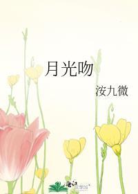 月光吻过蔷薇窗沐秋