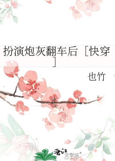 炮灰扮演攻略