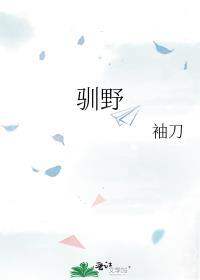 驯野袖刀江静月