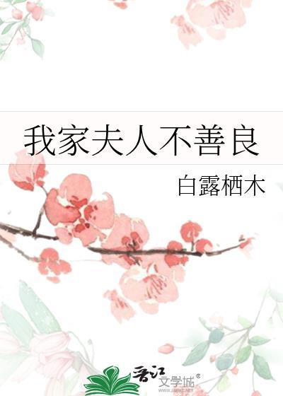 我家夫人不善良番外